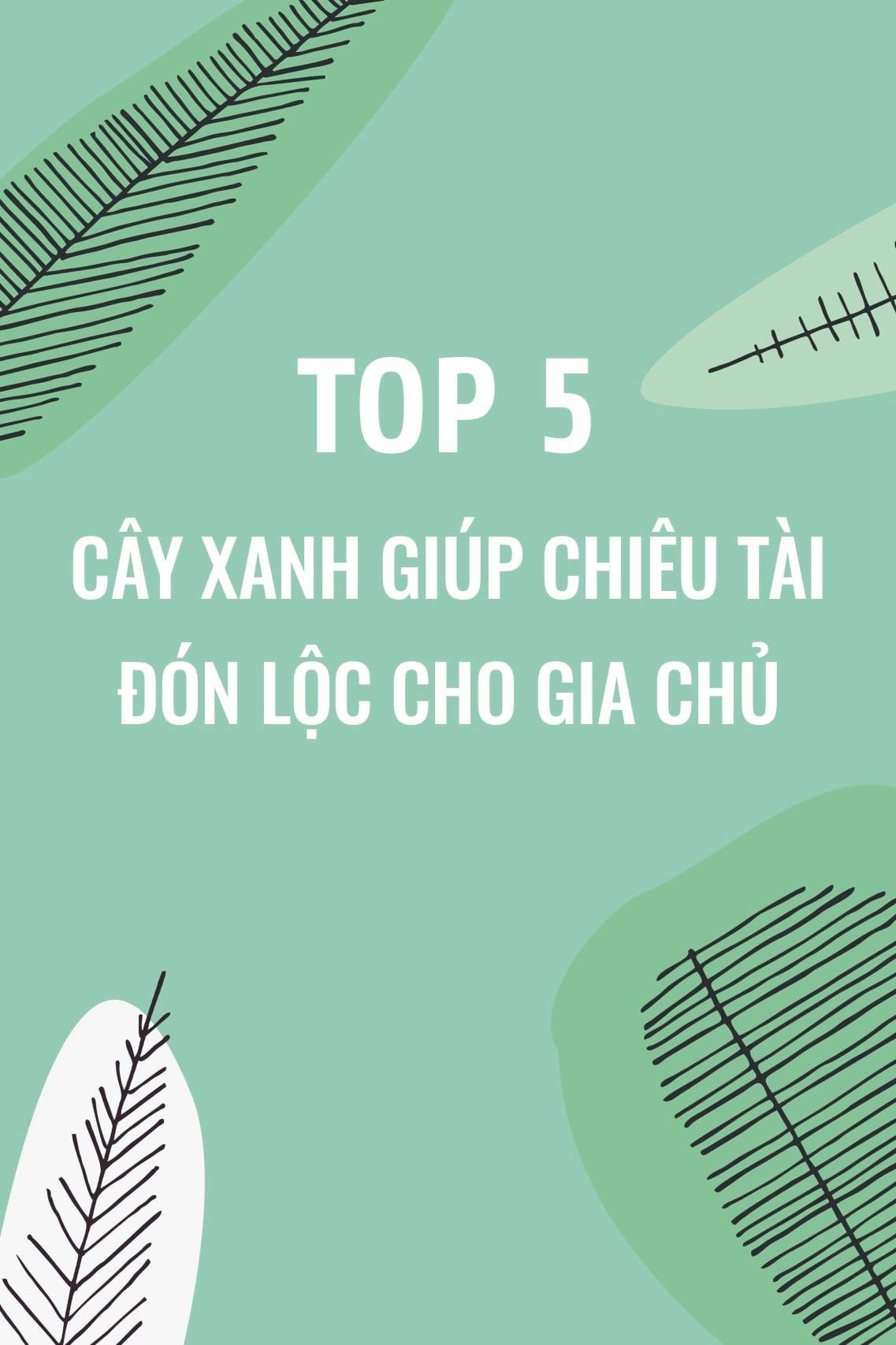 TOP 5 CÂY XANH GIÚP CHIÊU TÀI ĐÓN LỘC CHO GIA CHỦ